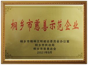 桐鄉(xiāng)市慈善示范企業(yè)
